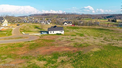 **Don't miss the video tour of the community! Copy/paste the on  in Tennessee - for sale on GolfHomes.com, golf home, golf lot