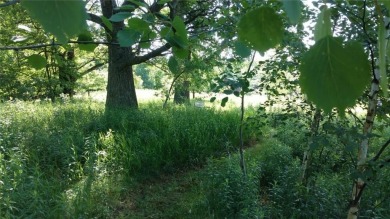 HAVE YOU BEEN DREAMING OF LIVING IN AN AREA OF OUTSTANDING on Ruttgers Bay Lake Lodge Golf Club in Minnesota - for sale on GolfHomes.com, golf home, golf lot