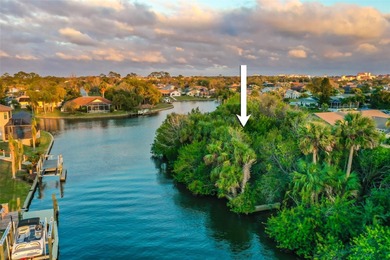 Ready to build on waterfront 0.30 acre lot featuring a fully on Palm Harbor Golf Club in Florida - for sale on GolfHomes.com, golf home, golf lot