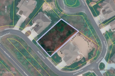 Looking for a year-round, lakeview lot to build your dream home on Toqua Golf Course - Loudon County in Tennessee - for sale on GolfHomes.com, golf home, golf lot