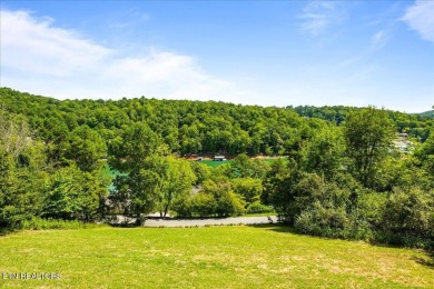PROFESSIONAL PHOTOS COMING SOON.........Gorgeous LAKEVIEW home on The Greens at Deerfield in Tennessee - for sale on GolfHomes.com, golf home, golf lot