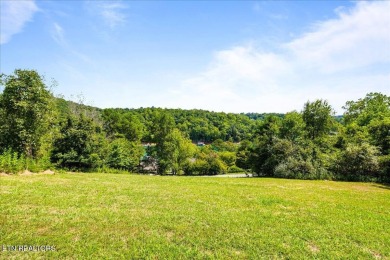 PROFESSIONAL PHOTOS COMING SOON.........Gorgeous LAKEVIEW home on The Greens at Deerfield in Tennessee - for sale on GolfHomes.com, golf home, golf lot