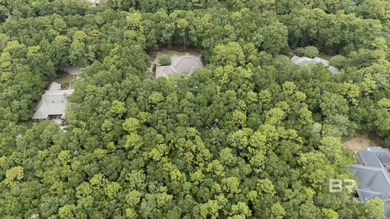 Welcome to The Woodlands at Fairhope where space, privacy on Rock Creek Golf Club in Alabama - for sale on GolfHomes.com, golf home, golf lot