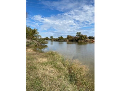 Come explore this riverfront community. Horseshoe Bend offers on Horseshoe Bend Country Club in Texas - for sale on GolfHomes.com, golf home, golf lot