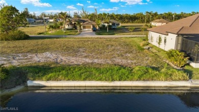 Newer Seawall! PRIME DIRECT GULF ACCESS southern view down Jake on Burnt Store Golf Club in Florida - for sale on GolfHomes.com, golf home, golf lot