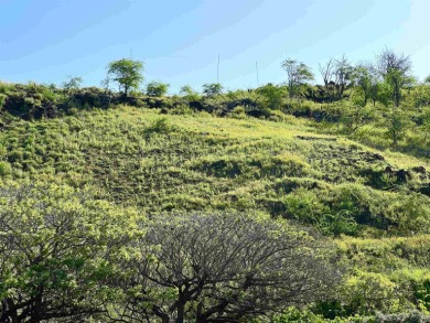 Ready to build your Makena, Maui Dream Home? Papa'anui, across on Wailea Golf Club in Hawaii - for sale on GolfHomes.com, golf home, golf lot