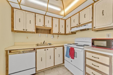 Discover the potential in this spacious 2-bedroom, 2-bath on Kings Point Golf -Flanders Way in Florida - for sale on GolfHomes.com, golf home, golf lot