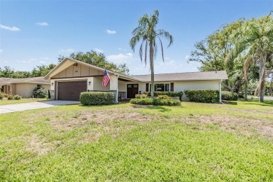 Under contract-accepting backup offers. Welcome to your dream on Countryside Country Club in Florida - for sale on GolfHomes.com, golf home, golf lot