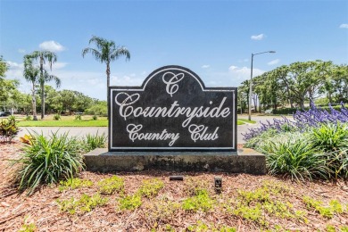 Under contract-accepting backup offers. Welcome to your dream on Countryside Country Club in Florida - for sale on GolfHomes.com, golf home, golf lot