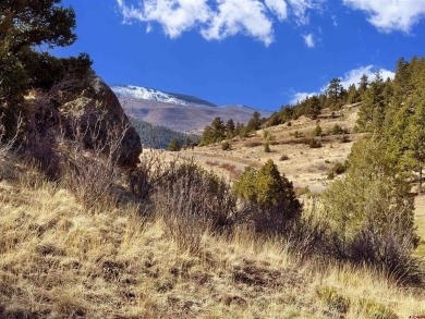 Suzy Woodward, Team Murphy Realty, C: , suzy,  : Don't miss this on Rio Grande Golf Club in Colorado - for sale on GolfHomes.com, golf home, golf lot