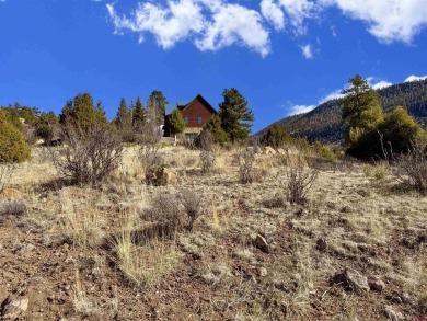 Suzy Woodward, Team Murphy Realty, C: , suzy,  : Don't miss this on Rio Grande Golf Club in Colorado - for sale on GolfHomes.com, golf home, golf lot