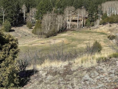 Suzy Woodward, Team Murphy Realty, C: , suzy,  : Don't miss this on Rio Grande Golf Club in Colorado - for sale on GolfHomes.com, golf home, golf lot
