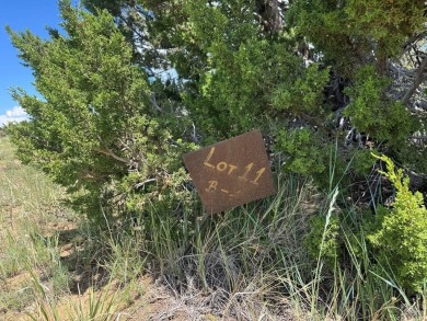 Ready to build, this parcel is ready for you! Black Diamond Park on Walsenburg Golf Club in Colorado - for sale on GolfHomes.com, golf home, golf lot