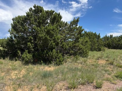 Ready to build, this parcel is ready for you! Black Diamond Park on Walsenburg Golf Club in Colorado - for sale on GolfHomes.com, golf home, golf lot