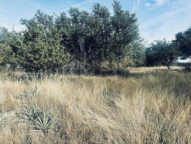 Beautiful .56-acre lot located near The Hideout Golf Course on Hideout Golf Club and Resort  in Texas - for sale on GolfHomes.com, golf home, golf lot