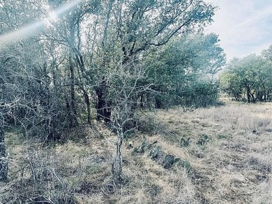 Beautiful .56-acre lot located near The Hideout Golf Course on Hideout Golf Club and Resort  in Texas - for sale on GolfHomes.com, golf home, golf lot