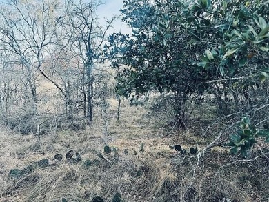 Beautiful .56-acre lot located near The Hideout Golf Course on Hideout Golf Club and Resort  in Texas - for sale on GolfHomes.com, golf home, golf lot