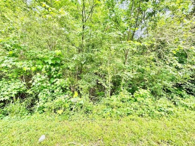 18+ Acres of Prime Land with River Frontage - Endless Potential! on Ware Shoals Golf Club in South Carolina - for sale on GolfHomes.com, golf home, golf lot