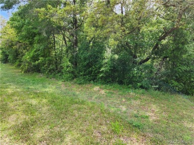 29 acre CORNER lot/homesite in the beautiful subdivision of on Citrus Springs Country Club in Florida - for sale on GolfHomes.com, golf home, golf lot