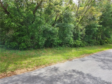 29 acre CORNER lot/homesite in the beautiful subdivision of on Citrus Springs Country Club in Florida - for sale on GolfHomes.com, golf home, golf lot