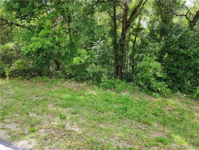 29 acre CORNER lot/homesite in the beautiful subdivision of on Citrus Springs Country Club in Florida - for sale on GolfHomes.com, golf home, golf lot