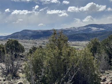 Suzy Woodward, Team Murphy Realty, C: , suzy,  : Perched on Rio Grande Golf Club in Colorado - for sale on GolfHomes.com, golf home, golf lot