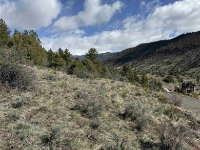 Suzy Woodward, Team Murphy Realty, C: , suzy,  : Perched on Rio Grande Golf Club in Colorado - for sale on GolfHomes.com, golf home, golf lot