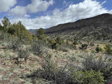 Suzy Woodward, Team Murphy Realty, C: , suzy,  : Perched on Rio Grande Golf Club in Colorado - for sale on GolfHomes.com, golf home, golf lot