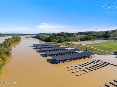 Nestled in the prestigious Tennessee National subdivision, this on  in Tennessee - for sale on GolfHomes.com, golf home, golf lot