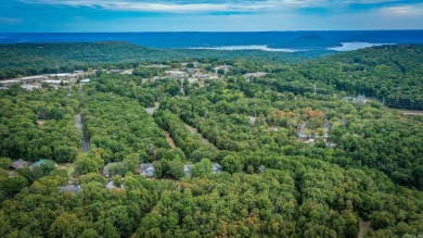 This stunning, updated studio is tucked away among the trees on on Mountain Ranch Golf Club in Arkansas - for sale on GolfHomes.com, golf home, golf lot