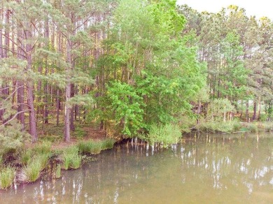Room to Build, Freedom to Enjoy!  Welcome to 206 Compass Point on The Patriot Golf Club At Grand Harbor in South Carolina - for sale on GolfHomes.com, golf home, golf lot