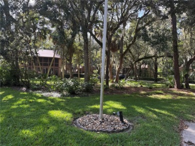 Move in ready 2 bedroom 2 bathroom condominium with all updates on Palm Harbor Golf Club in Florida - for sale on GolfHomes.com, golf home, golf lot