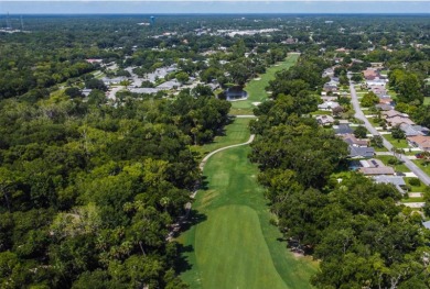 Move in ready 2 bedroom 2 bathroom condominium with all updates on Palm Harbor Golf Club in Florida - for sale on GolfHomes.com, golf home, golf lot