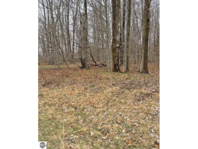 Fantastic location just across from Crystal Mountain Resort with on Crystal Mountain Golf Course in Michigan - for sale on GolfHomes.com, golf home, golf lot