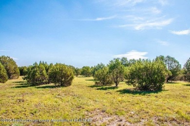 PREMIER APPROX1.06 ACRE RAINMAKERS LOT! Great views of Sierra on Rainmakers Golf Course in New Mexico - for sale on GolfHomes.com, golf home, golf lot