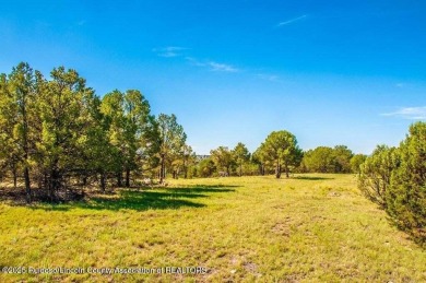 PREMIER APPROX1.06 ACRE RAINMAKERS LOT! Great views of Sierra on Rainmakers Golf Course in New Mexico - for sale on GolfHomes.com, golf home, golf lot
