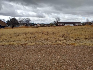 Single or Multi Family (duplex) Residential Vacant Lot with no on Desert Hawk At Pueblo West in Colorado - for sale on GolfHomes.com, golf home, golf lot