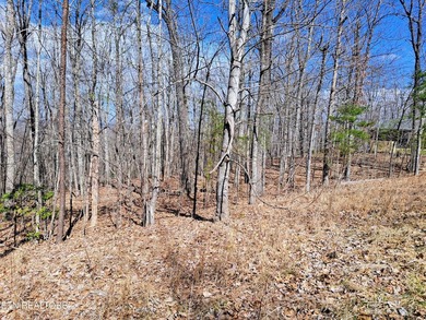 Discover this beautiful 1.18-acre lot with a gentle slope, ideal on Heatherhurst Golf Course in Tennessee - for sale on GolfHomes.com, golf home, golf lot