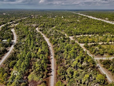 Discover a rare and affordable land opportunity in North Port's on Bobcat Trail Golf Club in Florida - for sale on GolfHomes.com, golf home, golf lot
