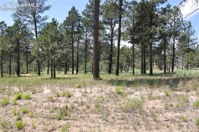 Beautiful lot in Flying Horse North .....lot has many mature on Flying Horse North Golf Course in Colorado - for sale on GolfHomes.com, golf home, golf lot