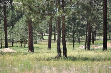 Beautiful lot in Flying Horse North .....lot has many mature on Flying Horse North Golf Course in Colorado - for sale on GolfHomes.com, golf home, golf lot