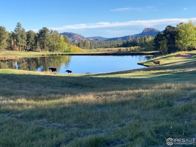 5k concession at Closing if closed by 5/31/25. Lot 90 is a well on Fox Acres Country Club in Colorado - for sale on GolfHomes.com, golf home, golf lot