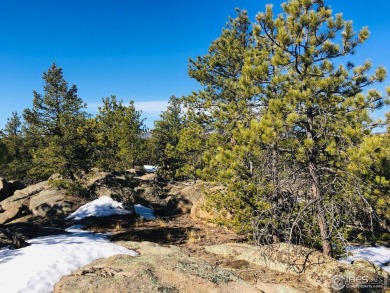 5k concession at Closing if closed by 5/31/25. Lot 90 is a well on Fox Acres Country Club in Colorado - for sale on GolfHomes.com, golf home, golf lot