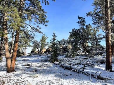 5k concession at Closing if closed by 5/31/25. Lot 90 is a well on Fox Acres Country Club in Colorado - for sale on GolfHomes.com, golf home, golf lot