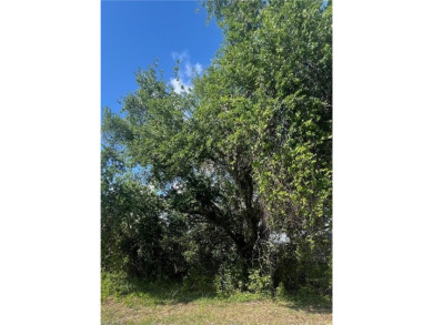 Located near Walmart, Aldi, and Bravo Supermarket, this lot on River Hall Country Club in Florida - for sale on GolfHomes.com, golf home, golf lot