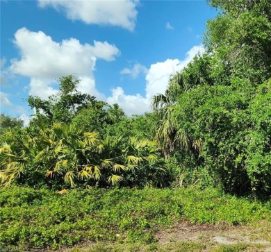 Located near Walmart, Aldi, and Bravo Supermarket, this lot on River Hall Country Club in Florida - for sale on GolfHomes.com, golf home, golf lot