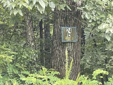 Looking for some acreage to build a home?  This approximately 23 on  in Kentucky - for sale on GolfHomes.com, golf home, golf lot