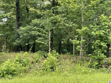 Looking for some acreage to build a home?  This approximately 23 on  in Kentucky - for sale on GolfHomes.com, golf home, golf lot