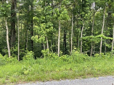 Looking for some acreage to build a home?  This approximately 23 on  in Kentucky - for sale on GolfHomes.com, golf home, golf lot