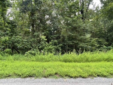 Looking for some acreage to build a home?  This approximately 23 on  in Kentucky - for sale on GolfHomes.com, golf home, golf lot